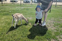 FB_IMG_1746229210430